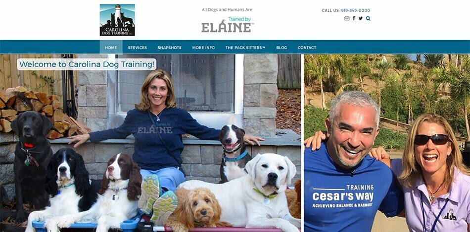 Carolina Dog Training / Trained by Elaine Website Developed by Talk19 Media Marketing