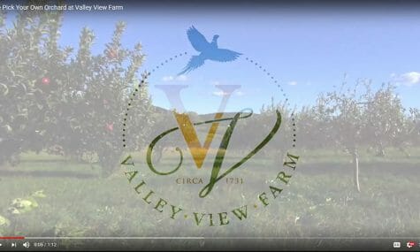 Valley View Farm Pick Your Own Orchard Delaplane Fauquier Virginia Talk 19 Media Video Production