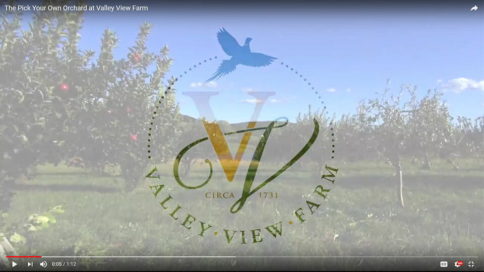 Video: Valley View Farm