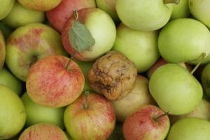 Personal Behavior and Marketing - public perception reputation bad apple